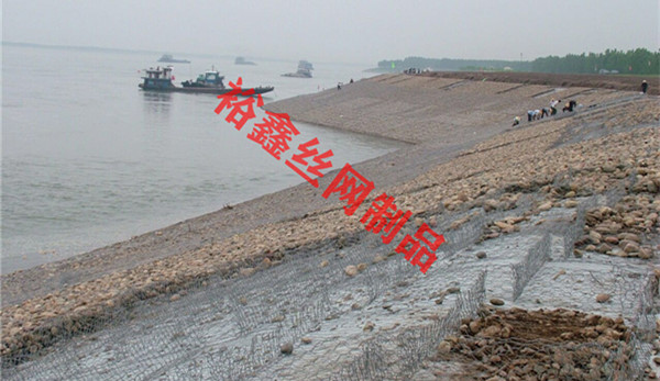人才招聘
